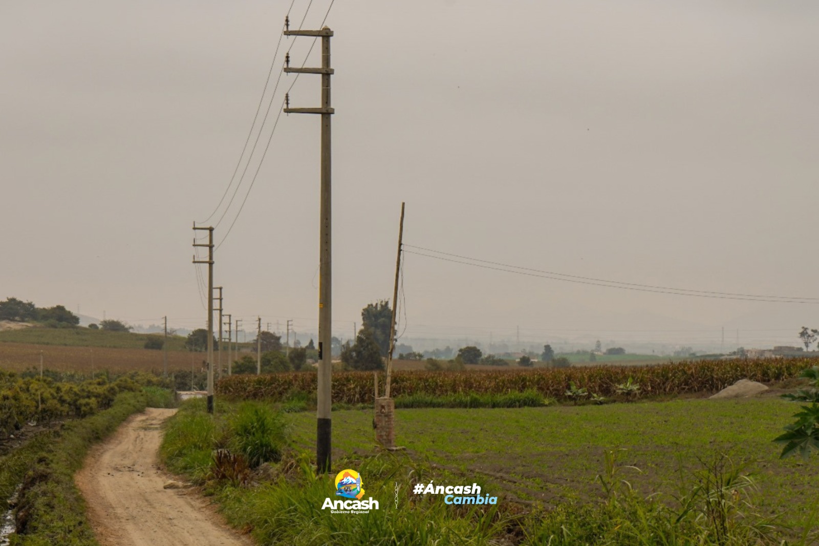 WhatsApp Image 2025-09-08 at 4.52.24 PM (3)